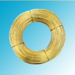 世界怎么了？黃銅圓線得多讀書多看報(bào)了